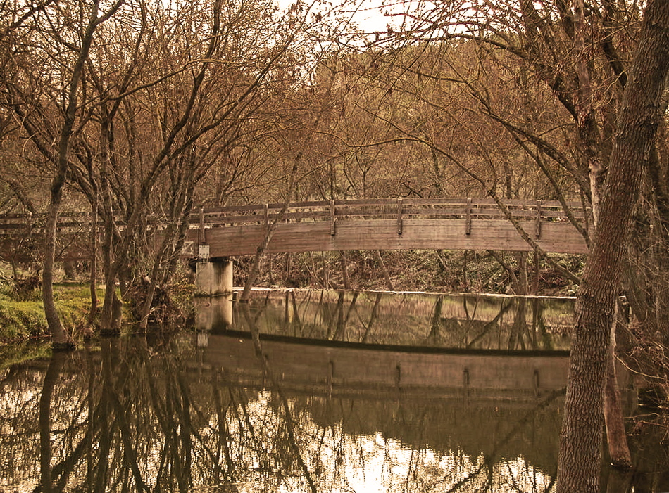 L'ancienne passerelle sur le Salaison